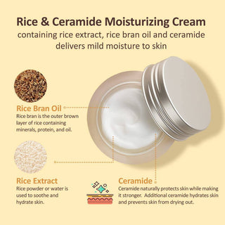 THE FACE SHOP  Rice Ceramide Moisturizing Cream - Kbeauty Canada