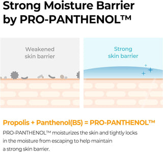 SOME BY MI Propolis B5 Glow Barrier Calming Toner - Kbeauty Canada