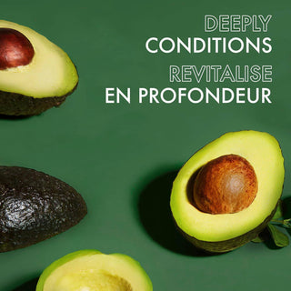 SHEA MOISTURE Avocado Butter and Manuka Honey Deep Conditioner 444mL - Kbeauty Canada