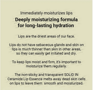 TORRIDEN Solid-In Ceramide Lip Essence 11mL - Kbeauty Canada