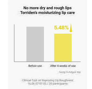TORRIDEN Solid-In Ceramide Lip Essence 11mL - Kbeauty Canada