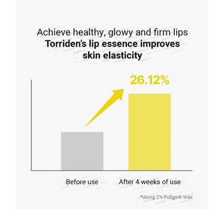 TORRIDEN Solid-In Ceramide Lip Essence 11mL - Kbeauty Canada