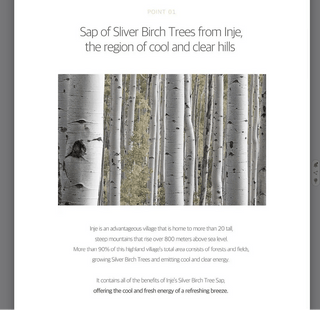 ROUND LAB Birch Moisturizing Mild-Up Sunscreen SPF 50+ PA++++ 50 mL - Kbeauty Canada