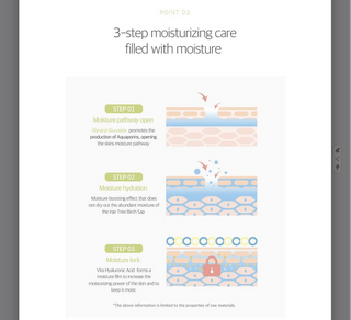 ROUND LAB Birch Moisturizing Mild-Up Sunscreen SPF 50+ PA++++ 50 mL - Kbeauty Canada