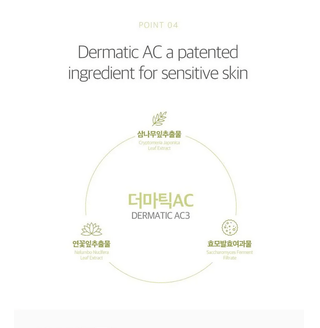 ROUND LAB Birch Moisturizing Mild-Up Sunscreen SPF 50+ PA++++ 50 mL - Kbeauty Canada