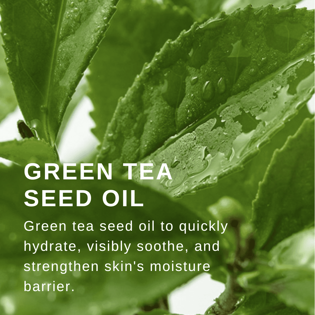Innisfree Green Tea Trio Kit