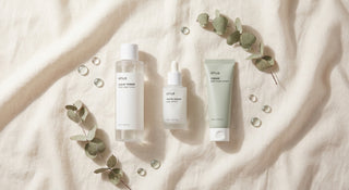 A minimalist flat-lay of Anua skincare products arranged in sequential order on a cream linen surface, accented with dried heartleaf botanicals and soft natural light.