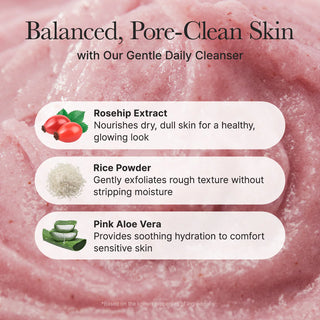 ARENCIA Fresh Rosehip Rice Mochi Cleanser 120g