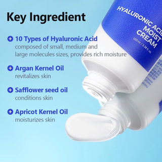 ISNTREE Hyaluronic Acid Moist Cream 100mL - Kbeauty Canada