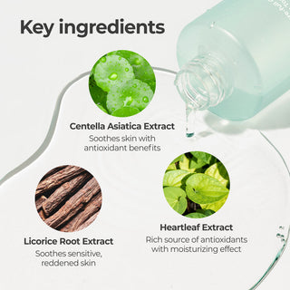 Numbuzin No.1 Pure-Full Calming Herb Toner (300ml) - Kbeauty Canada