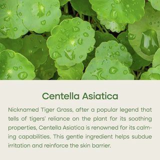 PURITO SEOUL Wonder Releaf Centella Serum Unscented 60mL - Kbeauty Canada