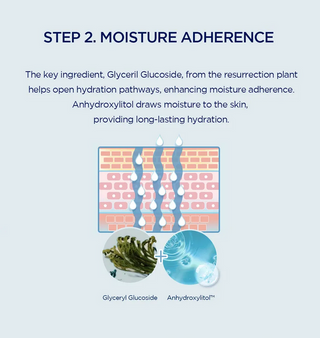 SKIN1004 Madagascar Centella Hyalu-Cica Hydrating Mask 23mL (1ea)