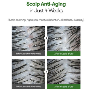 VT Cosmetics PDRN Reedle Shot Hair Ampoule 100dL 15mL - Kbeauty Canada