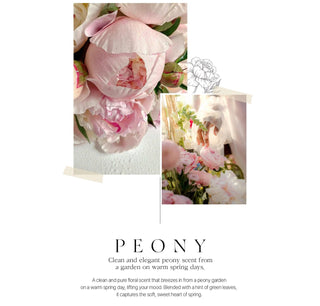 BOM Peony Garden perfume body mist in 110ml bottle, floral scent with peony blossoms and fresh botanical accents.
