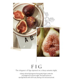 BOM Petit Fig perfume body mist in a 110ml spray bottle, featuring a sleek design and fresh fig scent.