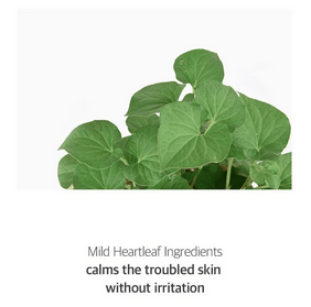 CELIMAX Jiwoogae Heartleaf BHA Peeling Pad, 60pcs, skin care mask with BHA exfoliants and natural heartleaf ingredients in a 125mL container.