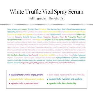 D'Alba White Truffle Vital Spray Serum in 100mL bottle, featuring a spray nozzle, designed for skincare with white truffle extract.