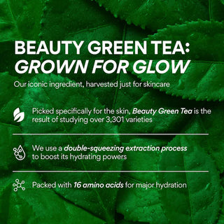 Innisfree Vita C Green Tea Enzyme Brightening Serum 30mL bottle with green tea illustration and product label.